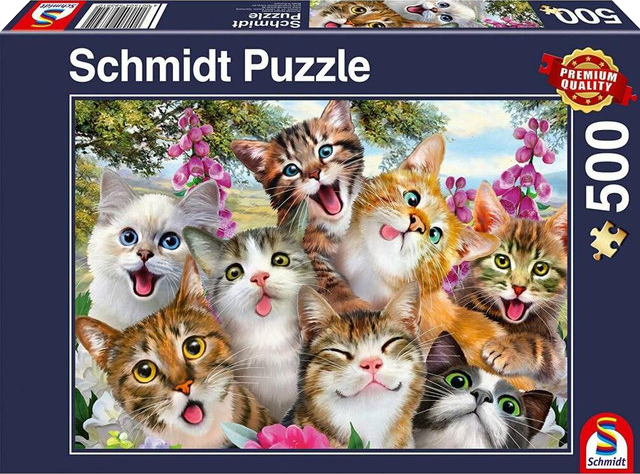 Selfie gatos