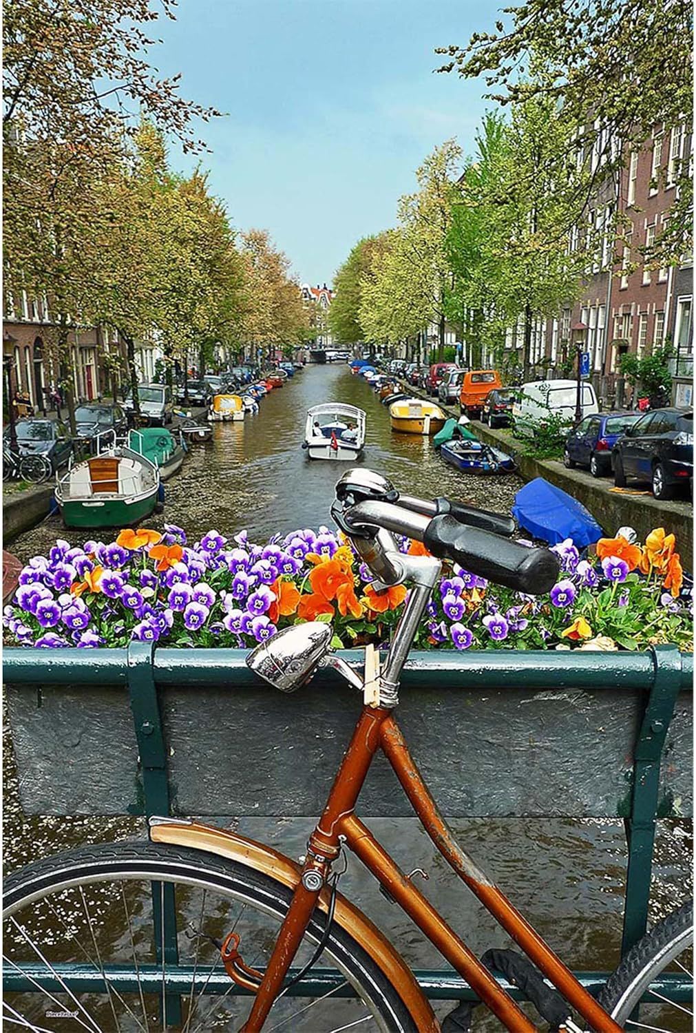 Amsterdam Flower And Bicycle