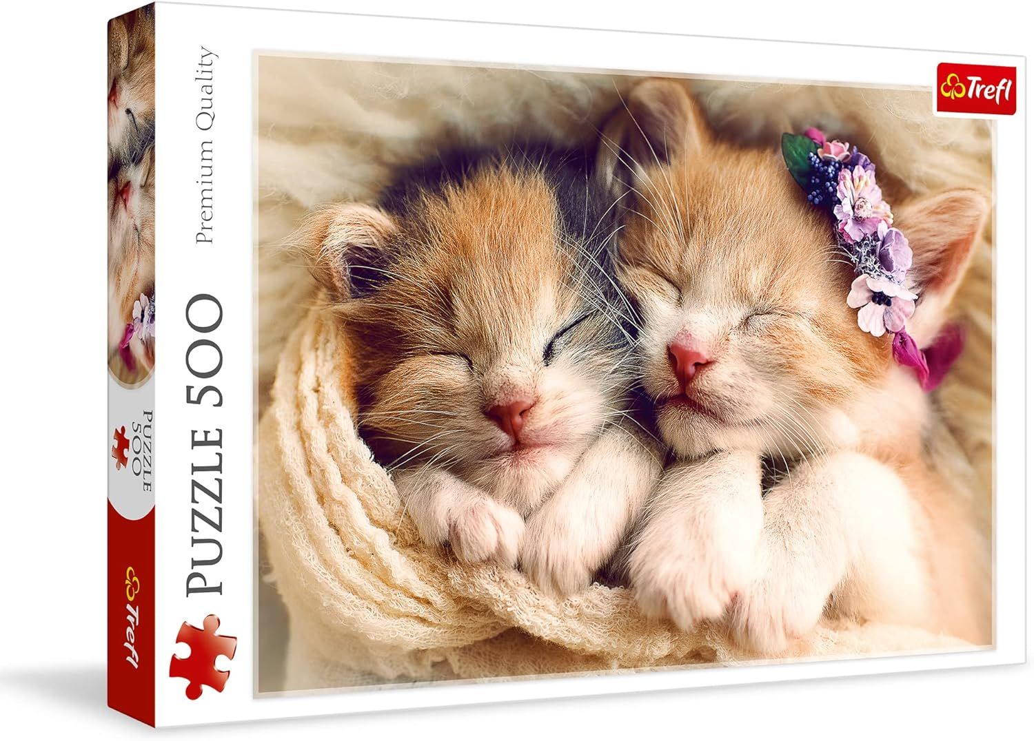Sleeping  Kittens