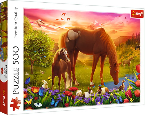 Caballos En la Pradera